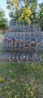 Lesnické pletivo uzlované 100 cm 1,6/2,0 mm počet vodorovnýc - 2