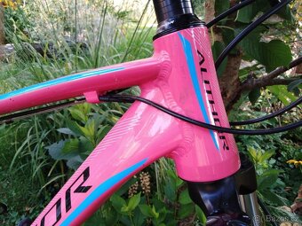 Author Pegas růžové 27,5 - 2