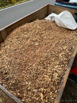 Dřevní Stepka-Švestka - 2