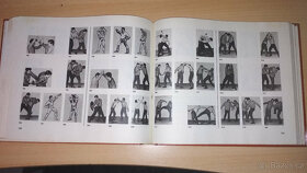 ZÁKLADY SEBEOBRANY - 2