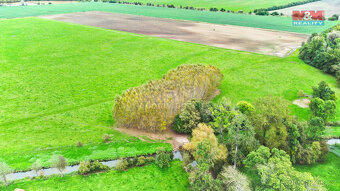 Prodej lesa, 1461 m², Skřivany - 2