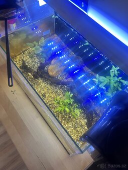 Aquarium REZERVOVÁNO DO CTVRTKU - 2