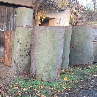 Špalek na štípáni dřeva - bukový - 2