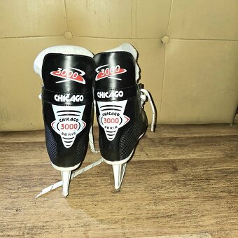 Brusle Botas c.41 - 2