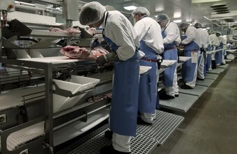 přijmeme ihned dělnice/dělníky do Jatek+Masokombinátů - 2