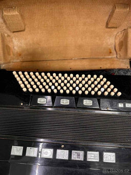 Delicia Carmen V - 2