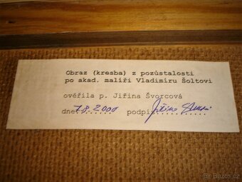 VLADIMÍR ŠOLTA... - 2