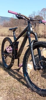 Trek remedy 8 - 2