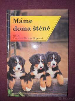 Máme doma štěně - 2