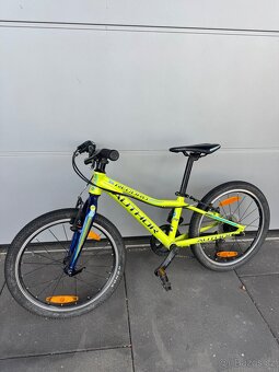 Author Record 20 - 2