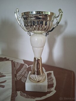 Krásné poháry - 2