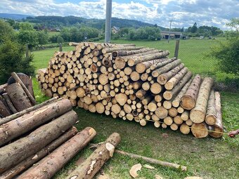 Prodej palivového dřeva - 2