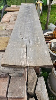 Fošna dubová či buková - 2