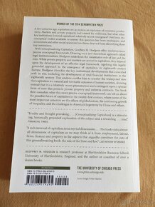 Kniha Conceptualizing Capitalism, Geoffrey M. Hodgson - 2