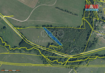 Prodej lesa, 3800 m², Břidličná - Vajglov - 2