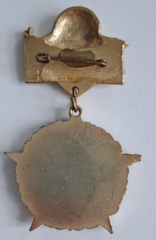 Turistická medaile / řád - 6. INT. Volkswanderung Rubgarten - 2