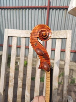 Viola 41cm - 2