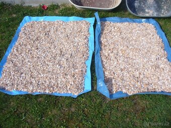 Skořápky suché - 2