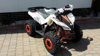 BUFFLER XS 125T - 2
