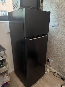 Siguro TF-J240Y Fresh - 2