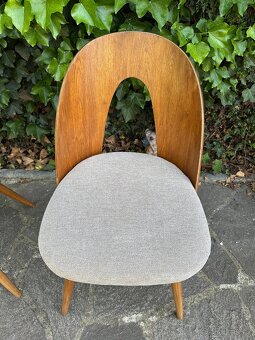 Designové židle A. ŠUMAN - BRUSEL - nové čalounění - 2