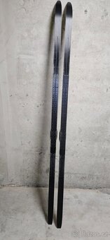 Prodám šupinové běžky Fischer 184 cm - 2