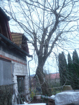 Vlašský Ořech, prodám, - 2