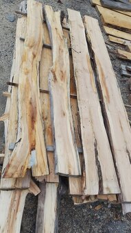 Odřezky dubu a olše - 2