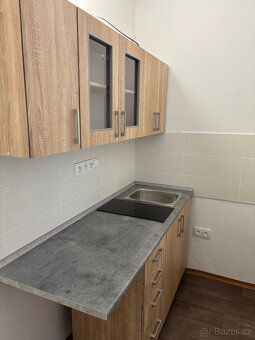 Pronájem družstevního bytu - 2