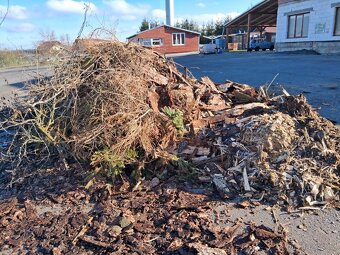 Kůra a štěpka - 2