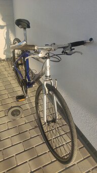 Kolo Maxbike - 2