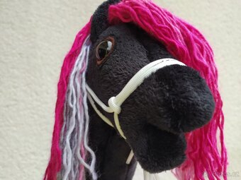 Hobby horse - 2