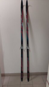 Běžky Polar Henke 190 cm a běžecké boty Botas vel. 42 - 2