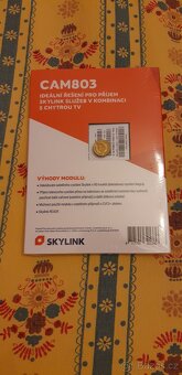 NAGRA803 SKYLINK - 2