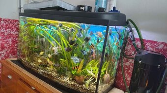 Akvárium vypouklé 200l Set - 2