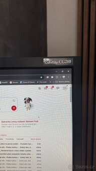 Monitor EIZO ColorEdge CG 210 - 2