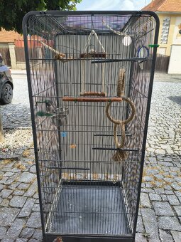 Ptačí klec - 2