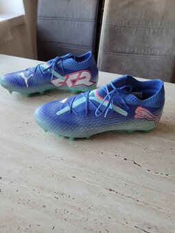Lisovky puma - 2