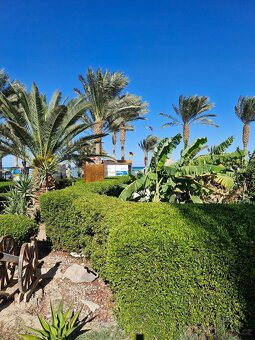 Egypt - 2