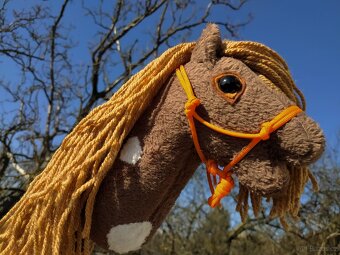 Hobby horse - 2