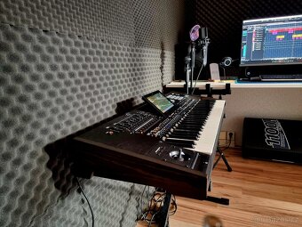 Korg Pa5X-61 Profesionální keyboard - 2