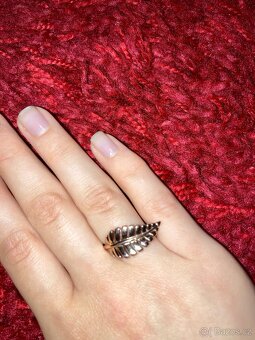 Prsten RSG Pierre Lang - 2