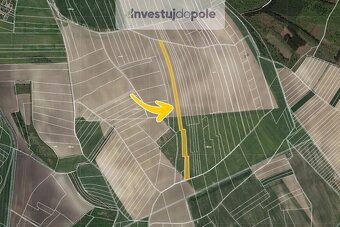Prodej pole v k.ú. Velenice - 2