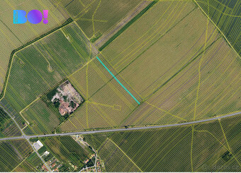 Prodej pole, 3999 m², Moravská Nová Ves - 2