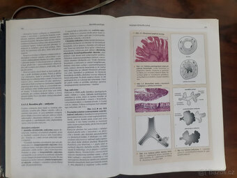 Patologie obecna a speciální - 2