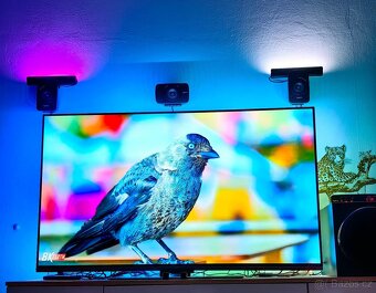 55" JVC LT-55VAO9235 OLED TV 120Hz - 2