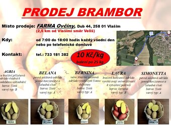 Prodej Brambor AGRIA, BELANA, BERNINA, LAURA, SIMONETTA - 2