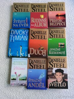 Danielle Steel a jiné - 2