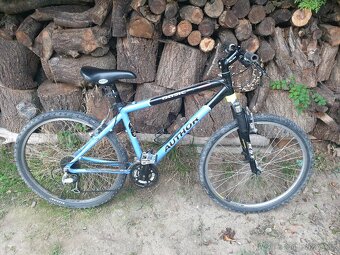 Author Basic SX vel. 17 - 2