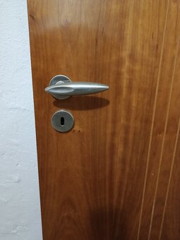 Interierové dřevěné dveře - 2